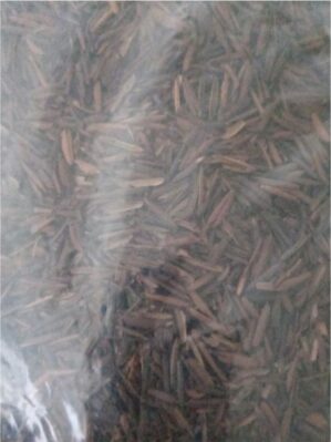 CASCA DE ARROZ CARBONIZADA 1KG 5 LTS